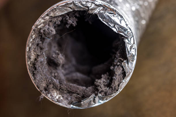 Best Local Air Duct Cleaning Services  in Avenue B And C, AZ